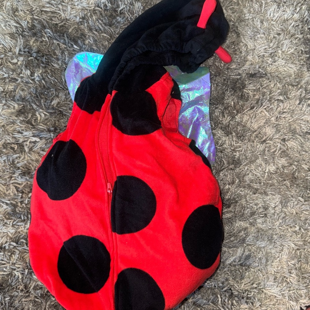 Red and Black Ladybug Costume
